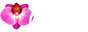 orchideethaimassage.de