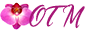 orchideethaimassage.de